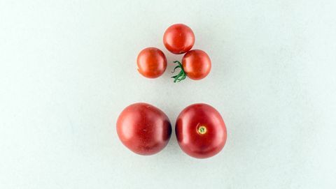 Meksika cüce domates