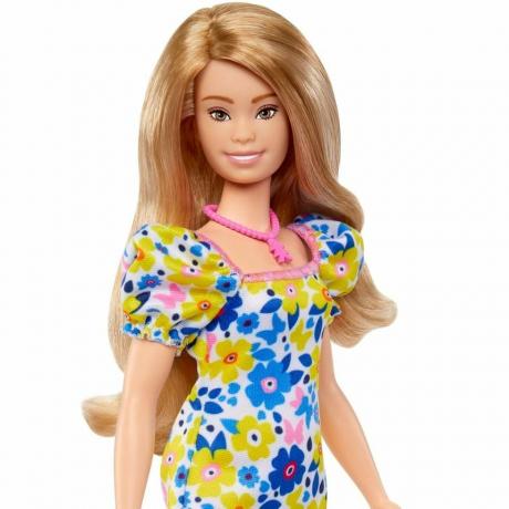 Down Sendromlu Barbie Fashionistas Doll #208