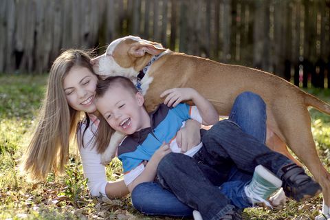 Delanie ve Blake Thurber ve köpeklerinden biri.